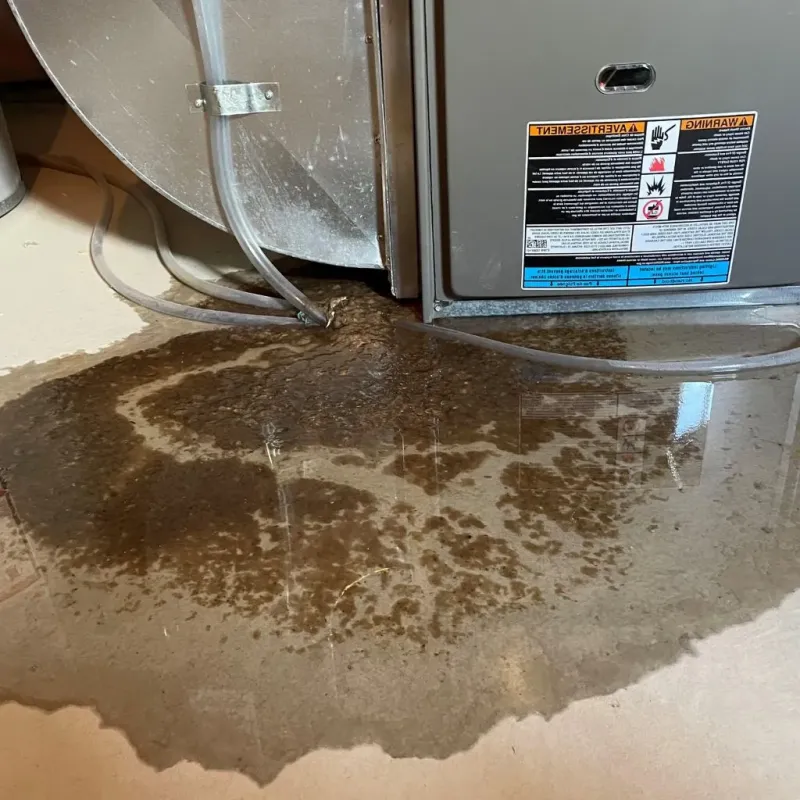 Pipe Burst and Leak Restoration in Follansbee, WV